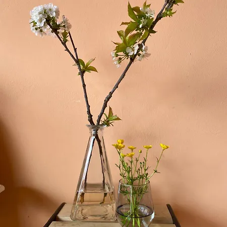 アパート Studio Verde Miagliano