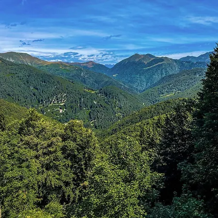 Studio Verde * Miagliano